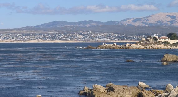 Monterey, the quaint beauty amidst modernity